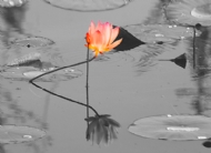 ŨױĨ
