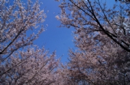 ӣ2